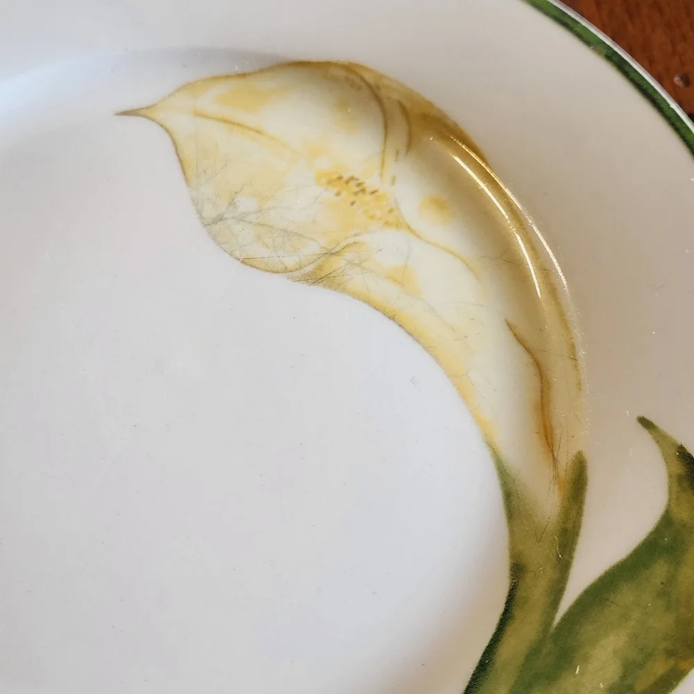 Vintage Pier 1 Floral Salad Plates Set of 5 | Cottagecore Garden Brunch
